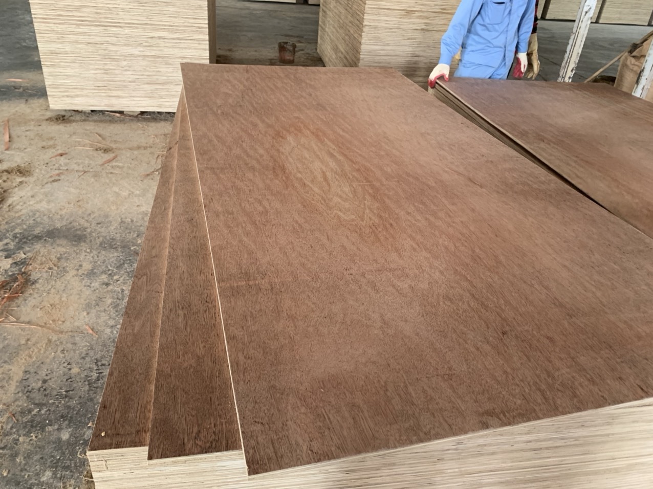 Plywood Project 2